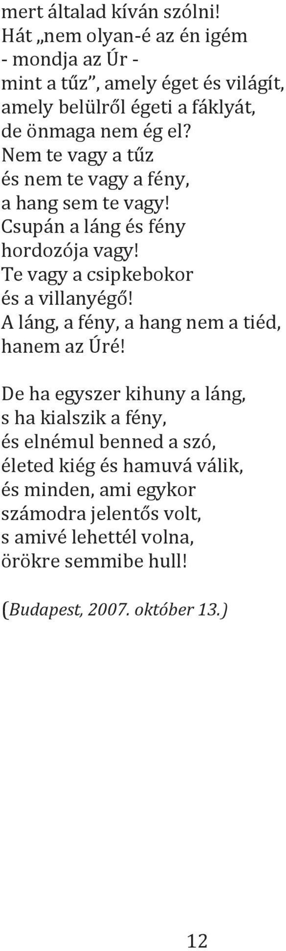 Nem te vagy a tűz és nem te vagy a fény, a hang sem te vagy! Csupán a láng és fény hordozója vagy! Te vagy a csipkebokor és a villanyégő!