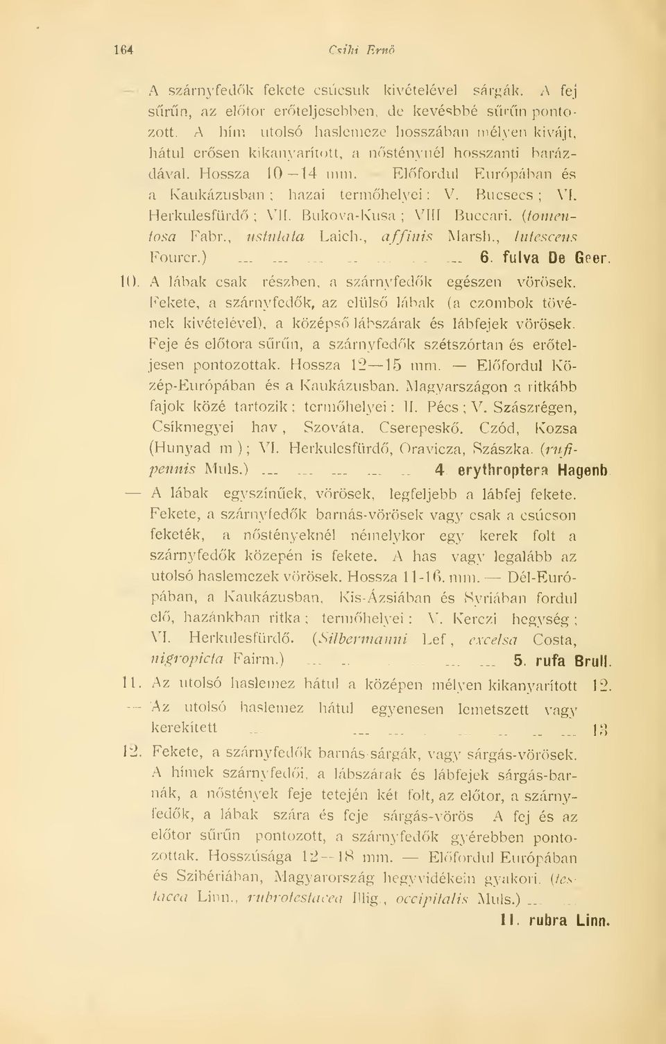 Bucsecs ; V'I. Herkulesfürd ; VII. Bukova-Kusa Vífl ; Buccari. {foinenfosa Fabr., nstnlata Laich., affini^ Marsh., Infcscens Fourcr.) _....... 6. fúlva De Geer. 10.