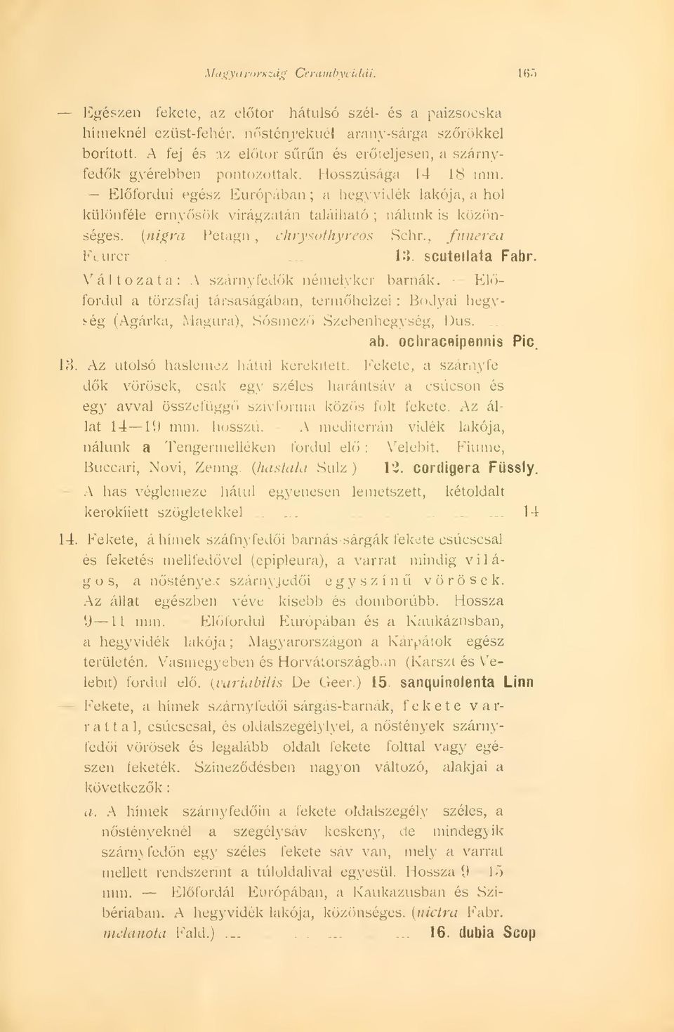 Elfordui egész Európában ; a hegyvidék lakója, a hol különféle ernyösrik virágzatán található ; nálunk is közönséges, {nigra Petagn tinysothyreos, Schr., fitiwrea F'.urcr.. 13. scutellata Fabr.