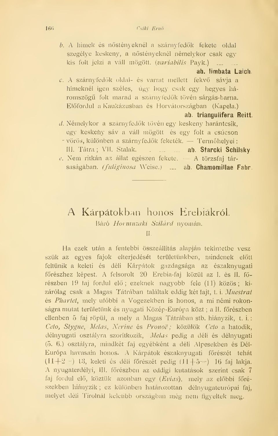 Elfordul a Kaukázusban és Horvátországban (Kapela.) ab. triangulifera Reitt. d.