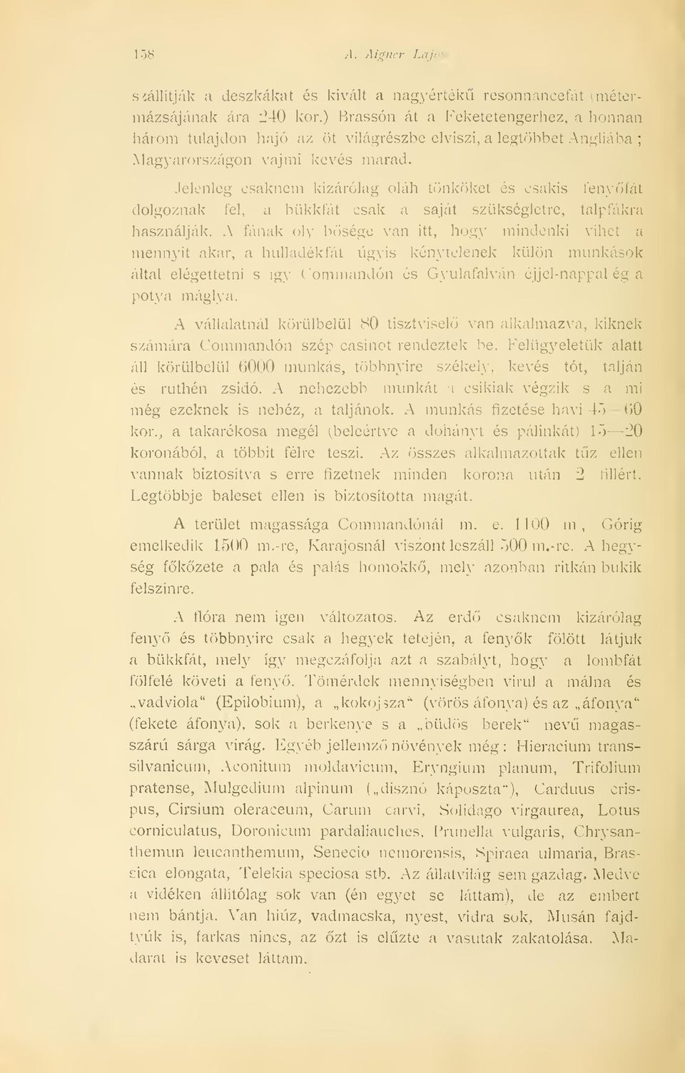 Jelenleg csaknem kizárólag oláh tönköket és csakis fenyfát dolgoznak fel, a bükkfát csak a saját szükségletre, talpfákia használják.