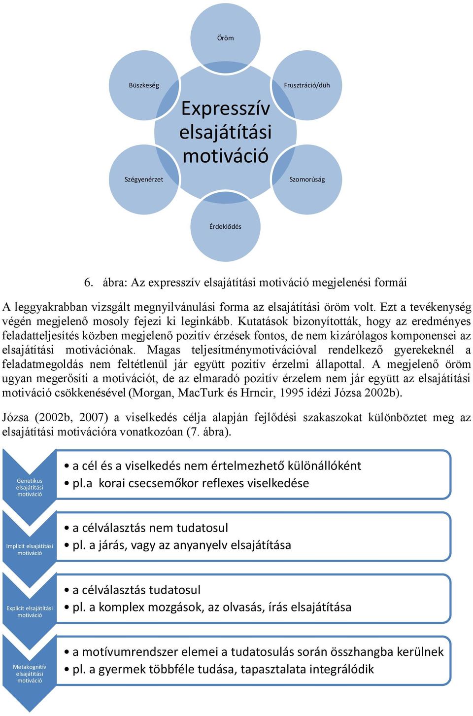 Kutatások bizonyították, hogy az eredményes feladatteljesítés közben megjelenő pozitív érzések fontos, de nem kizárólagos komponensei az elsajátítási motivációnak.