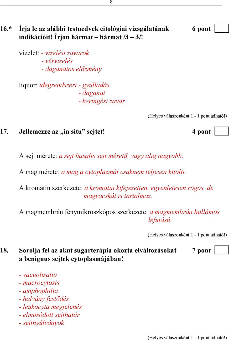 4 pont A sejt mérete: a sejt basalis sejt mérető, vagy alig nagyobb. A mag mérete: a mag a cytoplazmát csaknem teljesen kitölti.