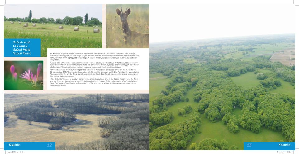 Južná časť Chránenej oblast Kskőrös Turjános je les Szűcs, jeho rozloha je 92 hektárov, kde žje takmer trsto druhov rastlín a aj jeho fauna je bohatá.