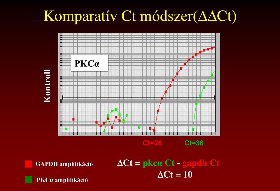 GAPDH amplifikáció PKCα