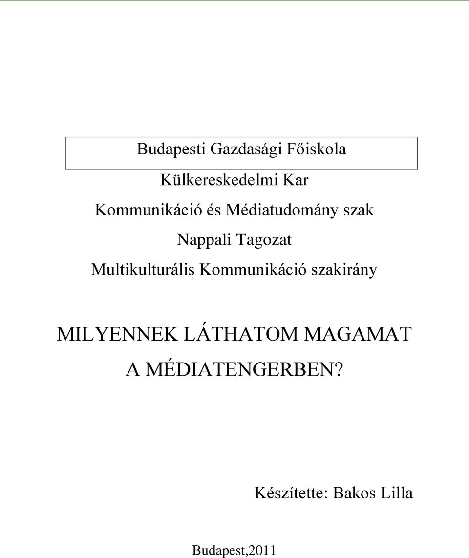 Multikulturális Kommunikáció szakirány MILYENNEK