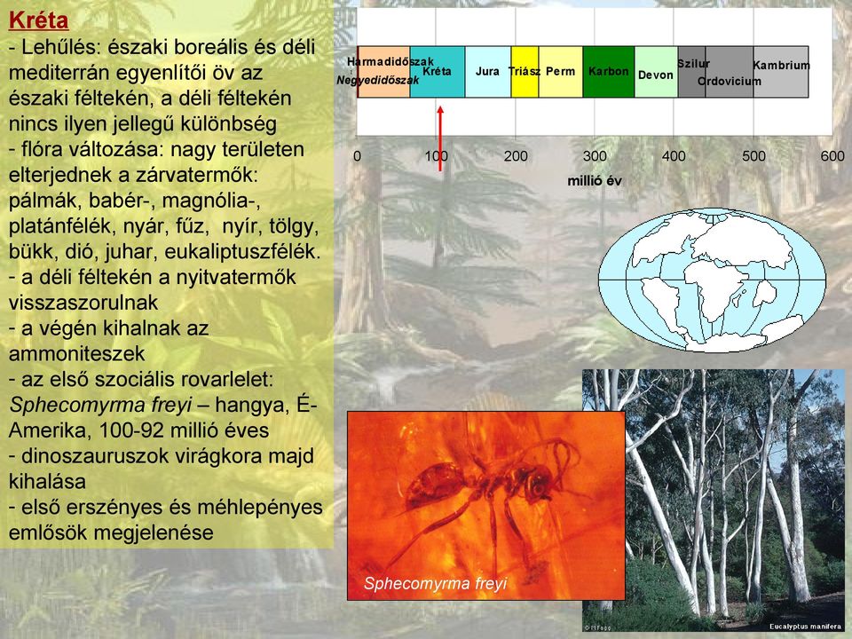 - a déli féltekén a nyitvatermők visszaszorulnak - a végén kihalnak az ammoniteszek - az első szociális rovarlelet: Sphecomyrma freyi hangya, ÉAmerika,