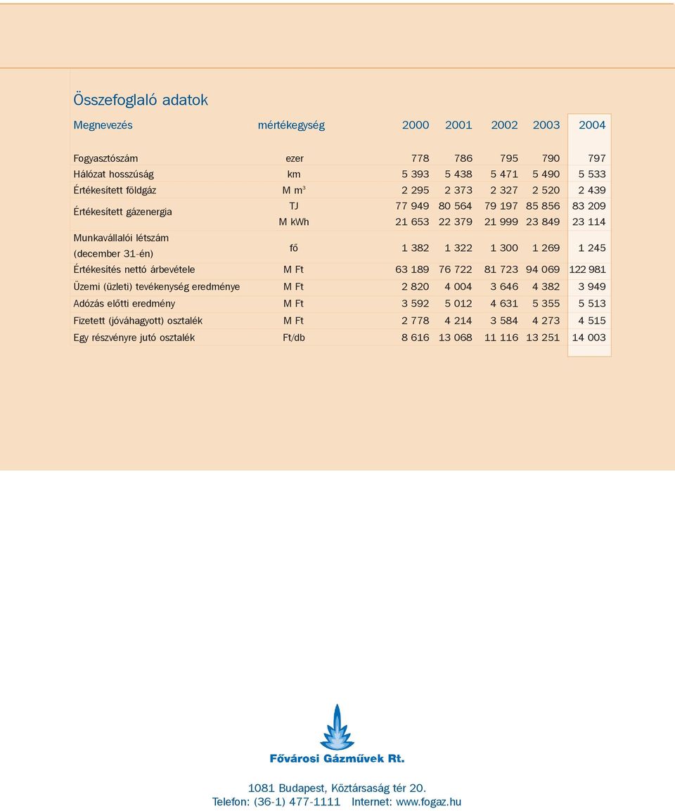 Értékesítés nettó árbevétele M Ft 63 189 76 722 81 723 94 069 122 981 Üzemi (üzleti) tevékenység eredménye M Ft 2 820 4 004 3 646 4 382 3 949 Adózás elõtti eredmény M Ft 3 592 5 012 4 631 5 355 5 513