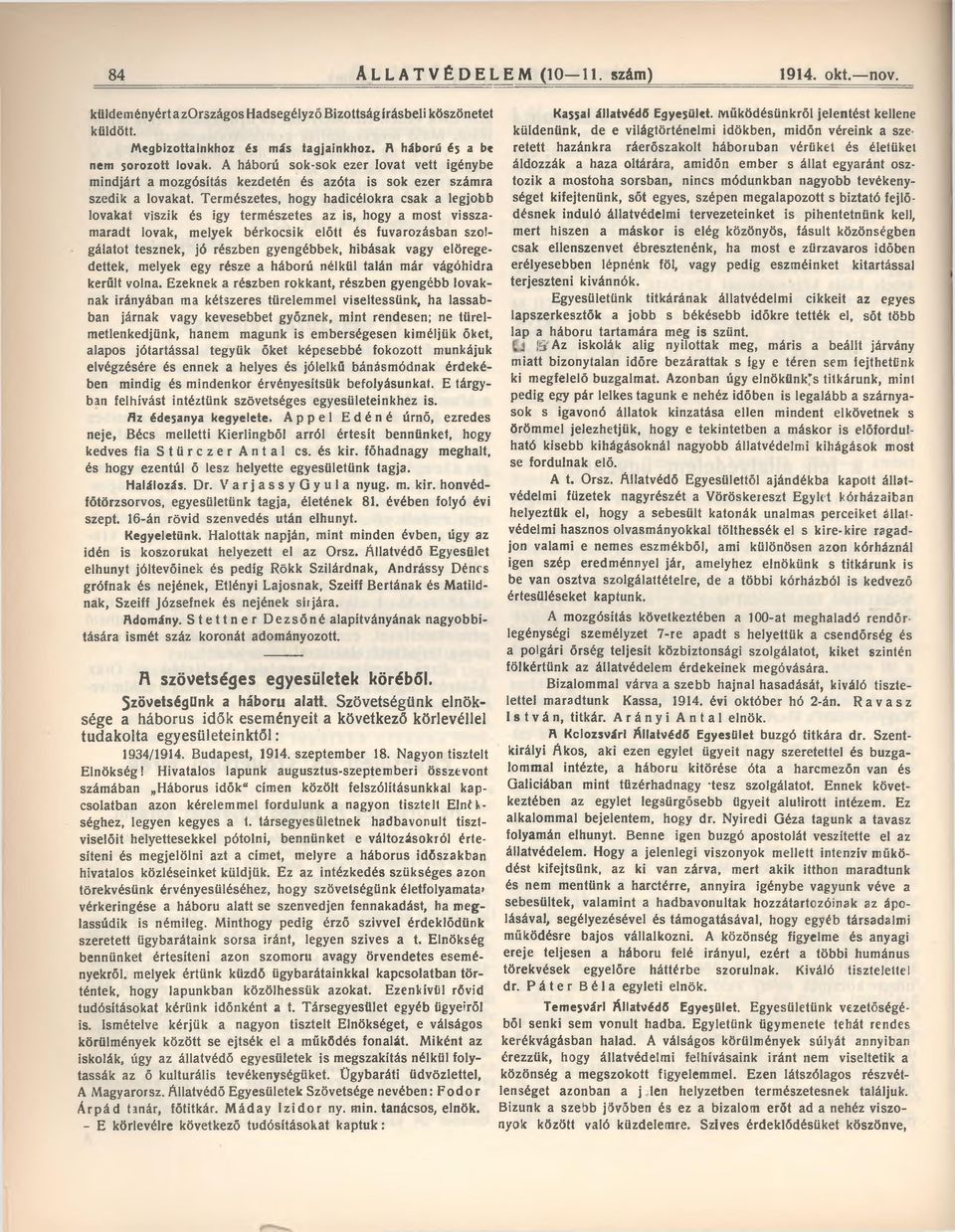 Természetes, hogy hadicélokra csak a legjobb lovakat viszik és igy természetes az is, hogy a most visszamaradt lovak, melyek bérkocsik előtt és fuvarozásban szolgálatot tesznek, jó részben