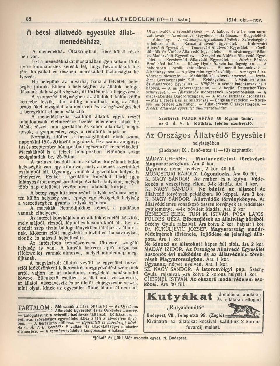 Ha belépünk az udvarba, balra a felvételi helyiségbe jutunk. Ebben a helyiségben az állatok befogadásának alakiságait végezik, itt történnek a bejegyzések.