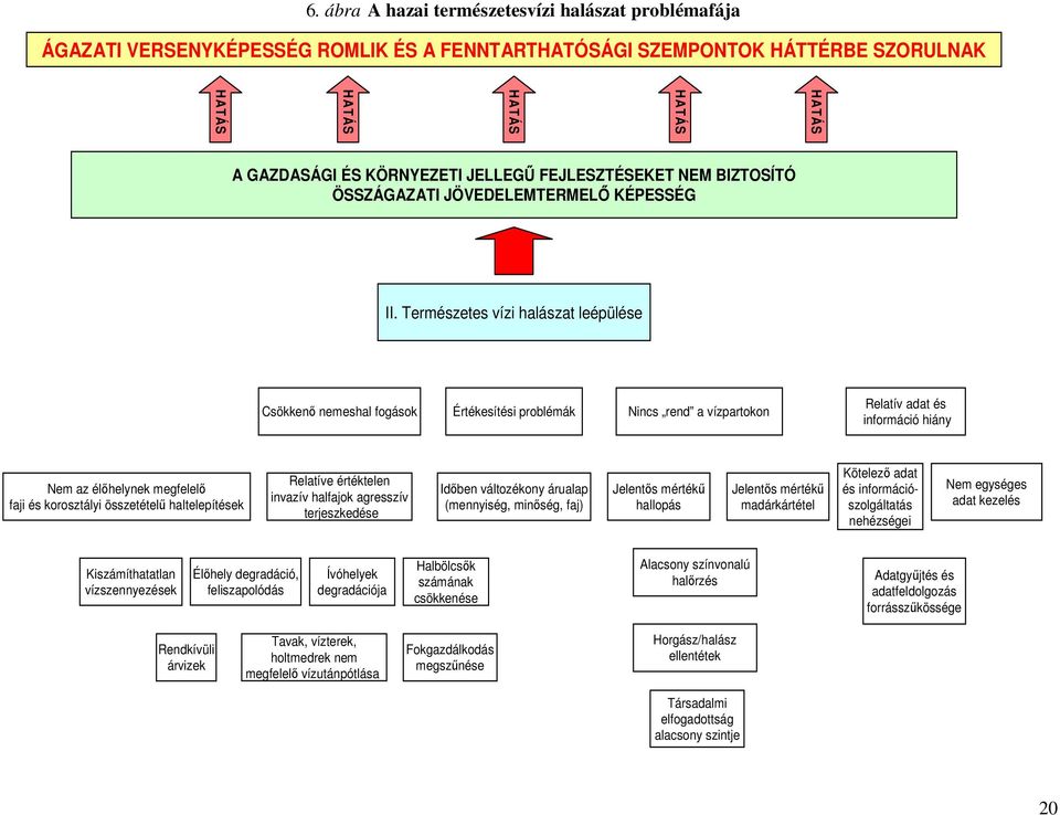 Természetes vízi halászat leépülése Csökkenı nemeshal fogások Értékesítési problémák Nincs rend a vízpartokon Relatív adat és információ hiány Nem az élıhelynek megfelelı faji és korosztályi