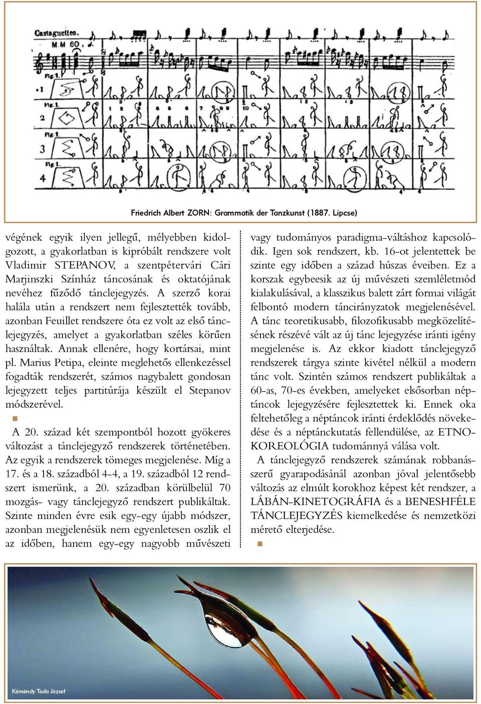 fûzôdô tánclejegyzés. A szerzô korai halála után a rendszert nem fejlesztették tovább, azonban Feuillet rendszere óta ez volt az elsô tánclejegyzés, amelyet a gyakorlatban széles körûen használtak.