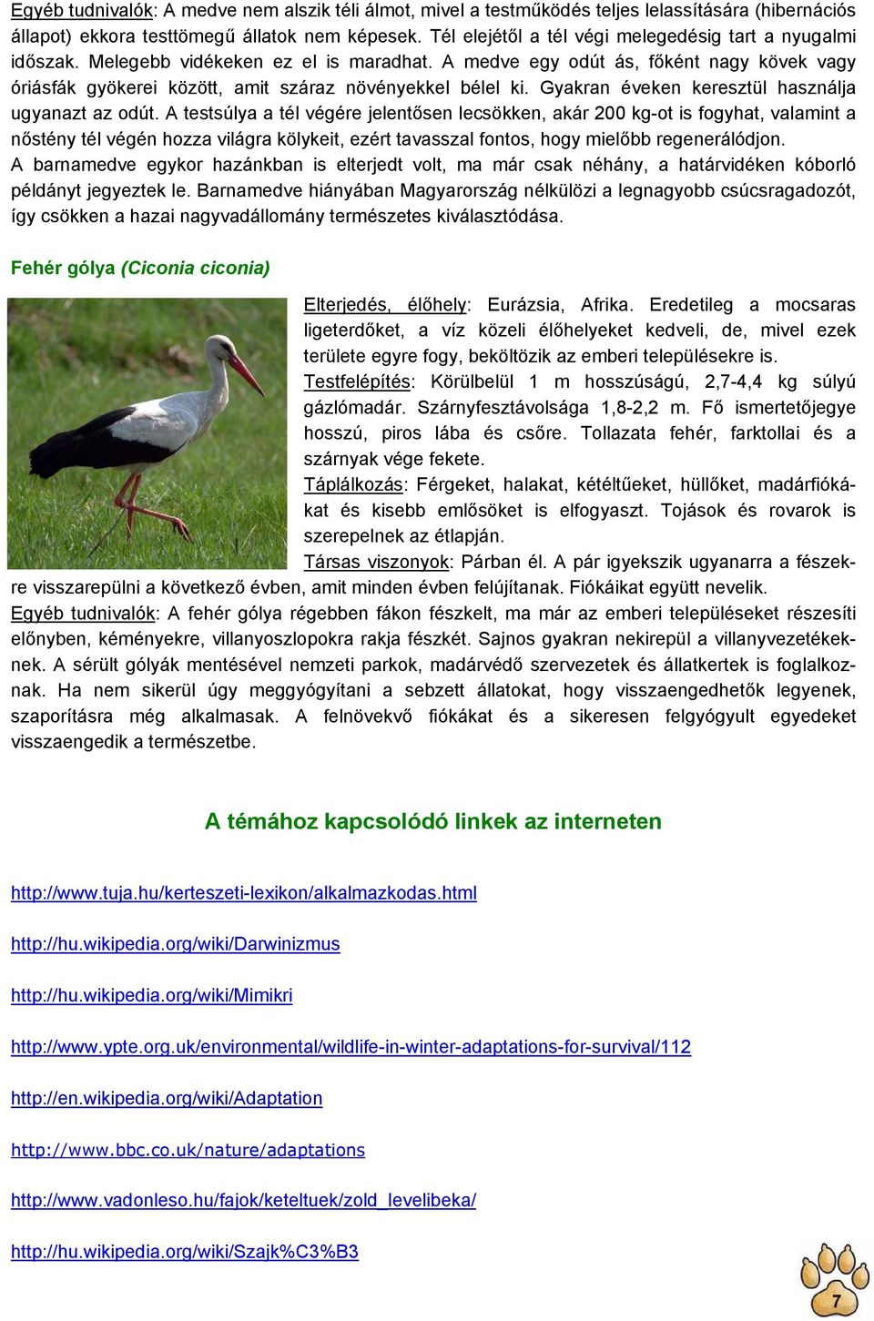 A medve egy odút ás, főként nagy kövek vagy óriásfák gyökerei között, amit száraz növényekkel bélel ki. Gyakran éveken keresztül használja ugyanazt az odút.