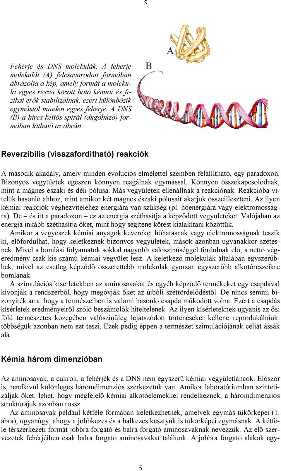 A DNS (B) a híres kettős spirál (dugóhúzó) formában látható az ábrán Reverzibilis (visszafordítható) reakciók A második akadály, amely minden evolúciós elmélettel szemben felállítható, egy paradoxon.