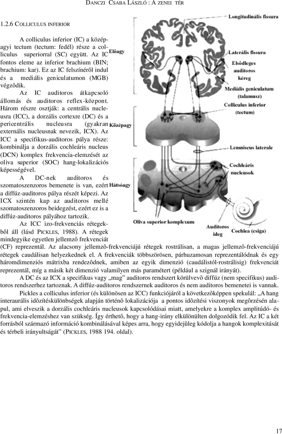 Három részre osztják: a centrális nucleusra (ICC), a dorzális cortexre (DC) és a pericentrális nucleusra (gyakran externális nucleusnak nevezik, ICX).