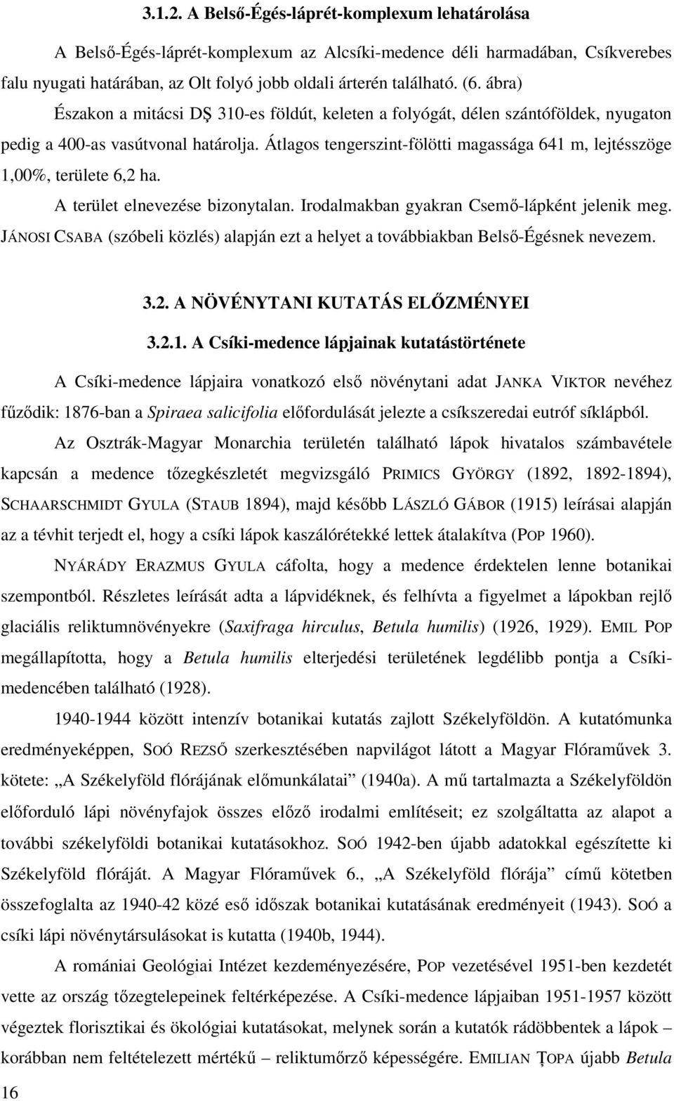 Átlagos tengerszint-fölötti magassága 641 m, lejtésszöge 1,00%, területe 6,2 ha. A terület elnevezése bizonytalan. Irodalmakban gyakran Csemő-lápként jelenik meg.