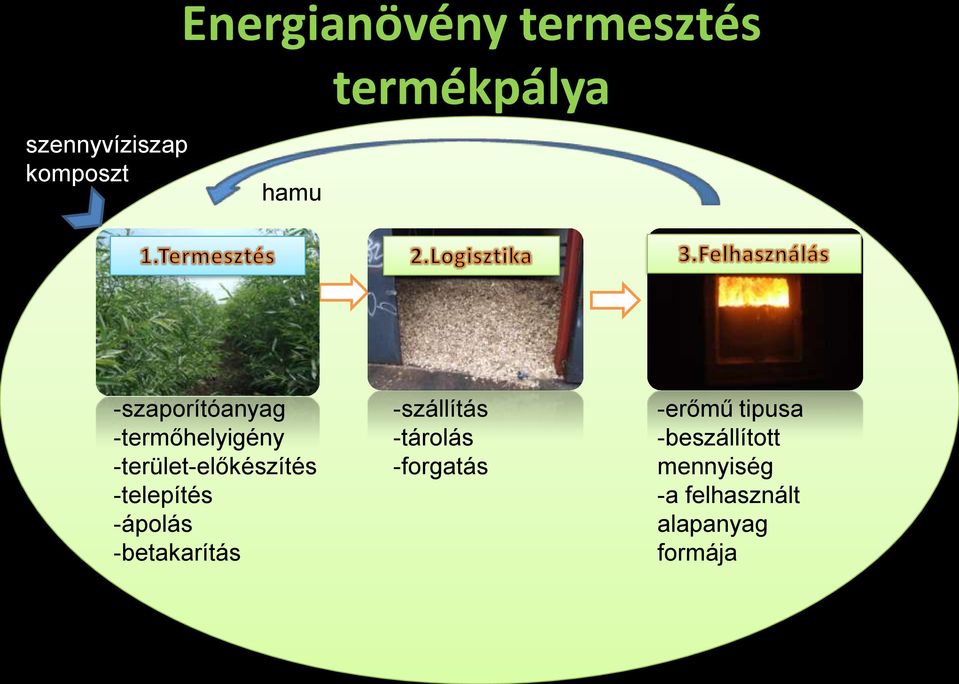 -termőhelyigény -terület-előkészítés -telepítés -ápolás -betakarítás