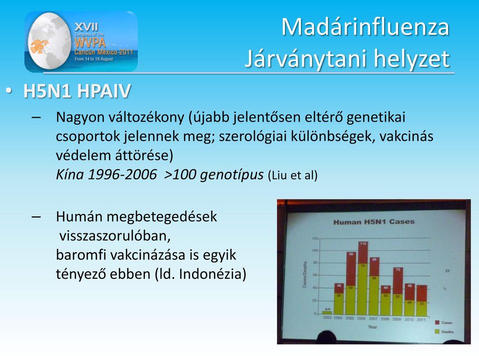 védelem áttörése) Kína 1996-2006 >100 genotípus (Liu et al) Humán