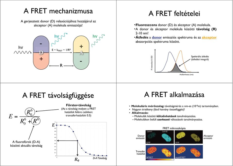 Átfedés a donor emissziós spektruma és az akceptor abszorpciós spektruma között. Fl intenzitás ill.