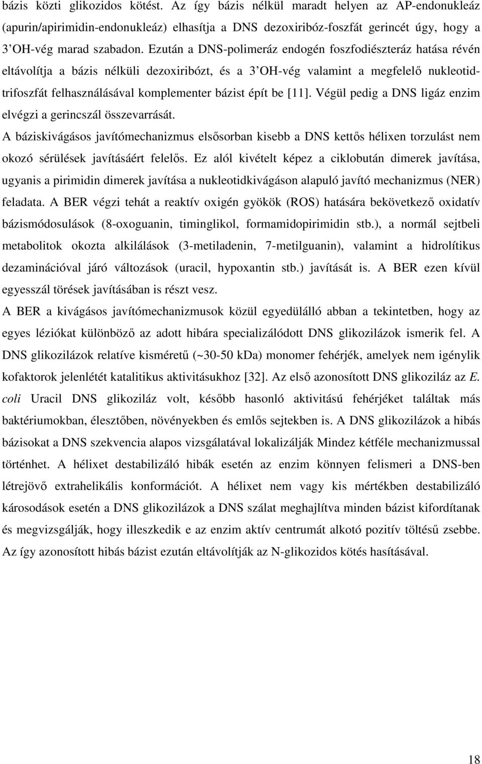 be [11]. Végül pedig a DNS ligáz enzim elvégzi a gerincszál összevarrását. A báziskivágásos javítómechanizmus elsısorban kisebb a DNS kettıs hélixen torzulást nem okozó sérülések javításáért felelıs.