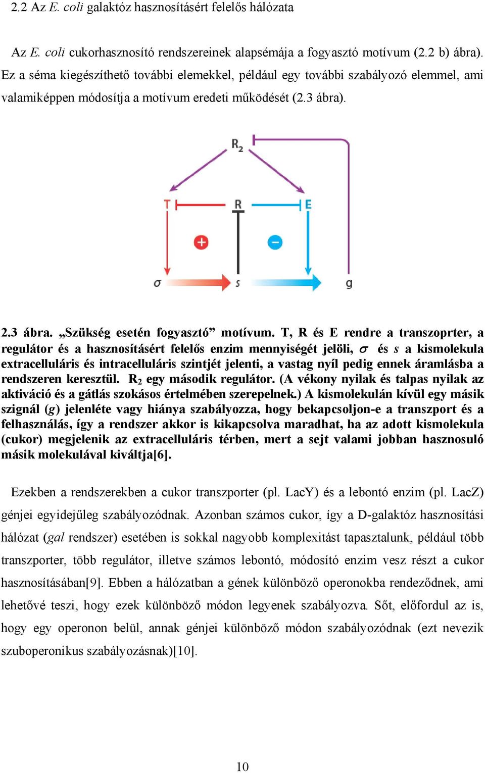 T R és E rendre a transzoprter a regulátor és a hasznosításért felelős enzim mennyiségét jelöli σ és s a kismolekula extracelluláris és intracelluláris szintjét jelenti a vastag nyíl pedig ennek