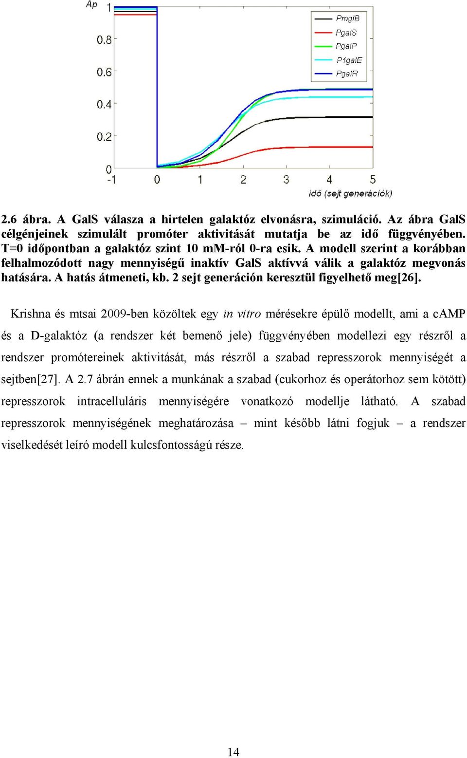 2 sejt generáción keresztül figyelhető meg[26].