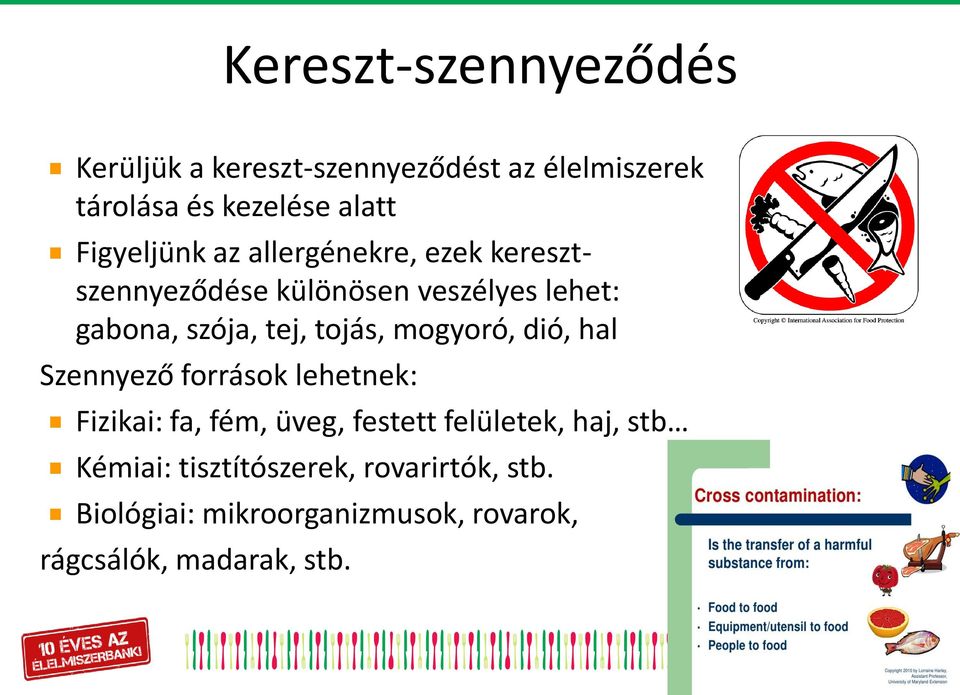 tojás, mogyoró, dió, hal Szennyező források lehetnek: Fizikai: fa, fém, üveg, festett felületek, haj,