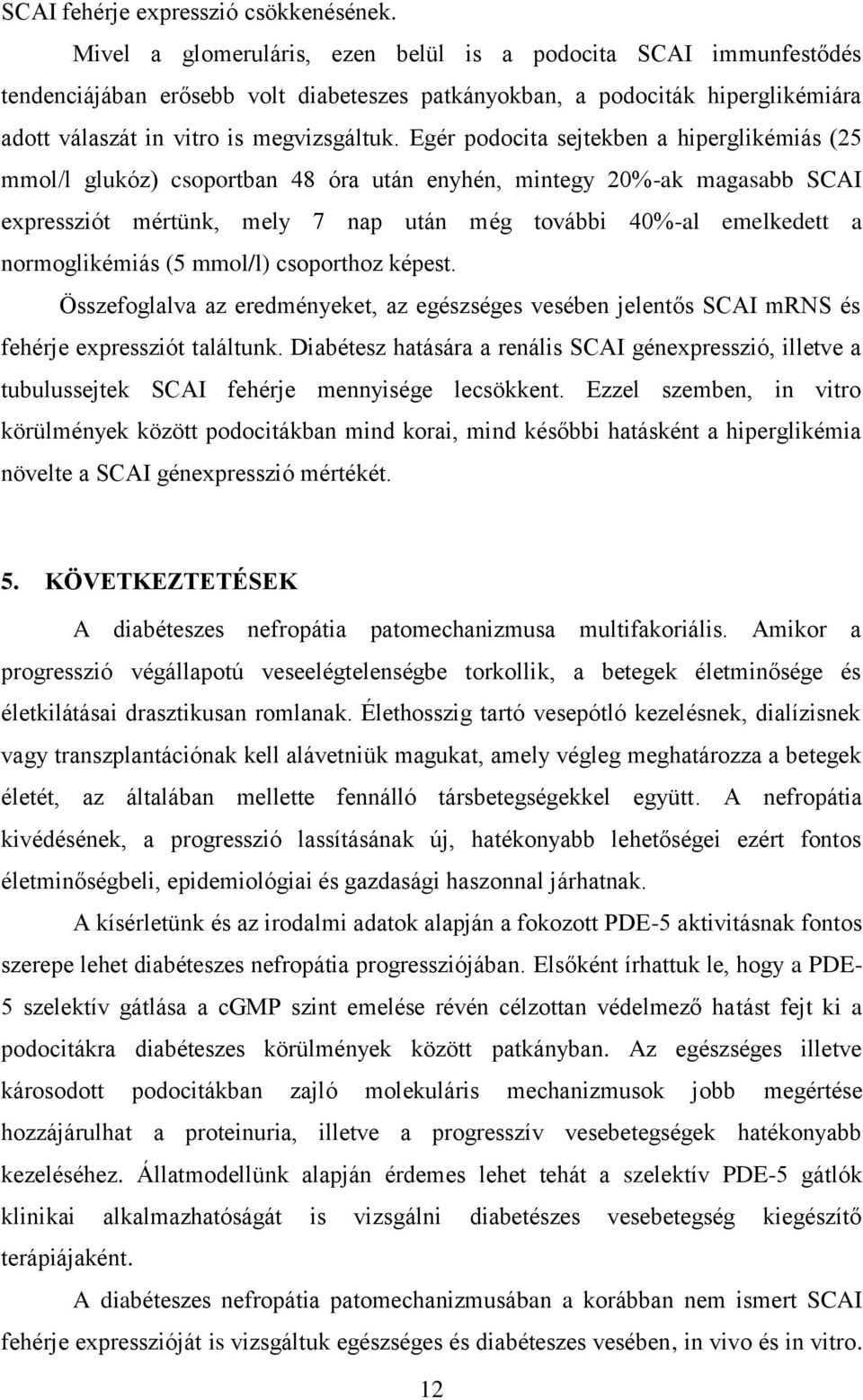 Egér podocita sejtekben a hiperglikémiás (25 mmol/l glukóz) csoportban 48 óra után enyhén, mintegy 20%-ak magasabb SCAI expressziót mértünk, mely 7 nap után még további 40%-al emelkedett a