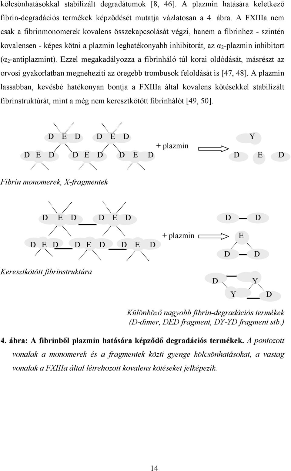 -antiplazmint). Ezzel megakadályozza a fibrinháló túl korai oldódását, másrészt az orvosi gyakorlatban megnehezíti az öregebb trombusok feloldását is [47, 48].