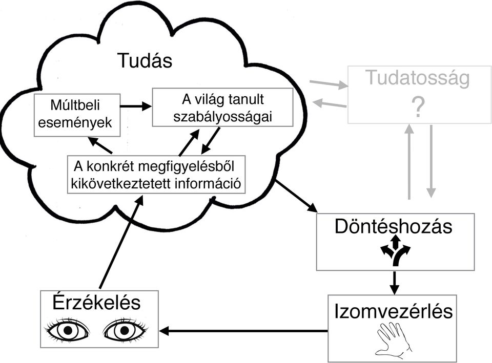 A konkrét megfigyelésből