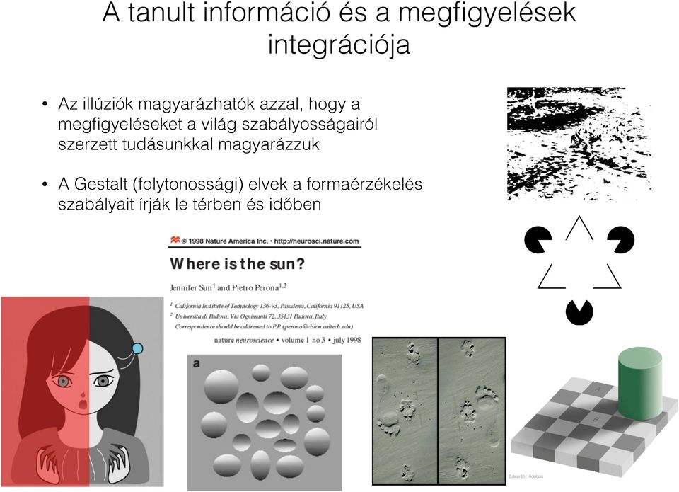 szabályosságairól szerzett tudásunkkal magyarázzuk A Gestalt