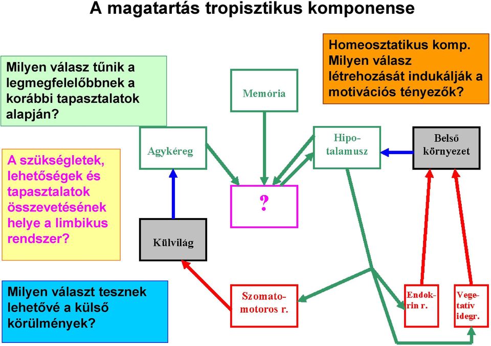 Milyen válasz létrehozását indukálják a motivációs tényezők?