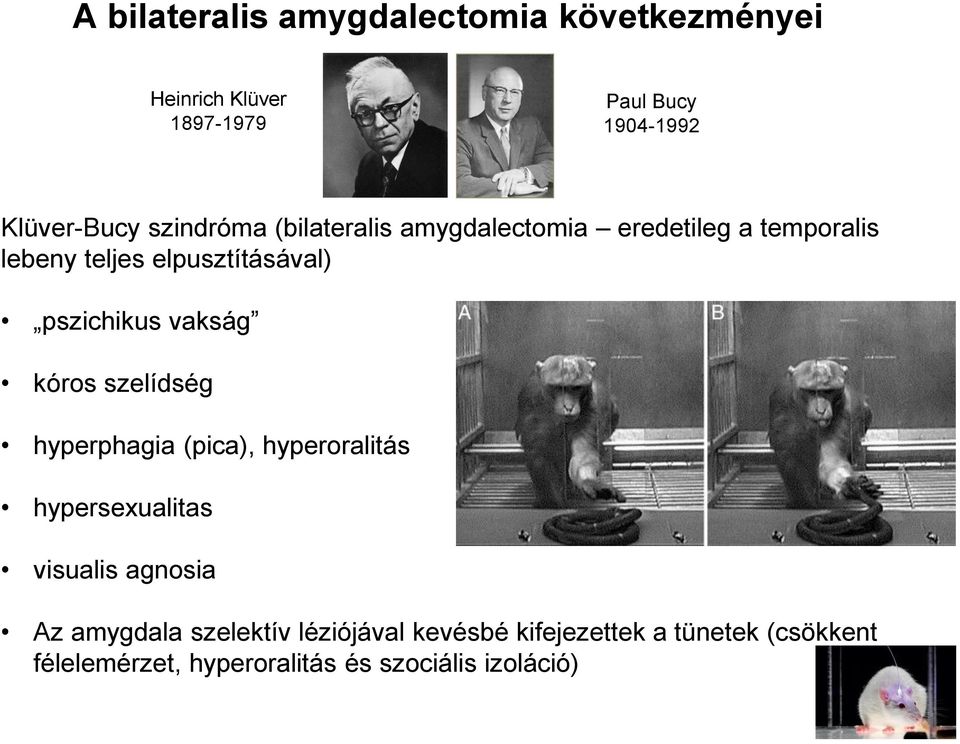 vakság kóros szelídség hyperphagia (pica), hyperoralitás hypersexualitas visualis agnosia Az amygdala