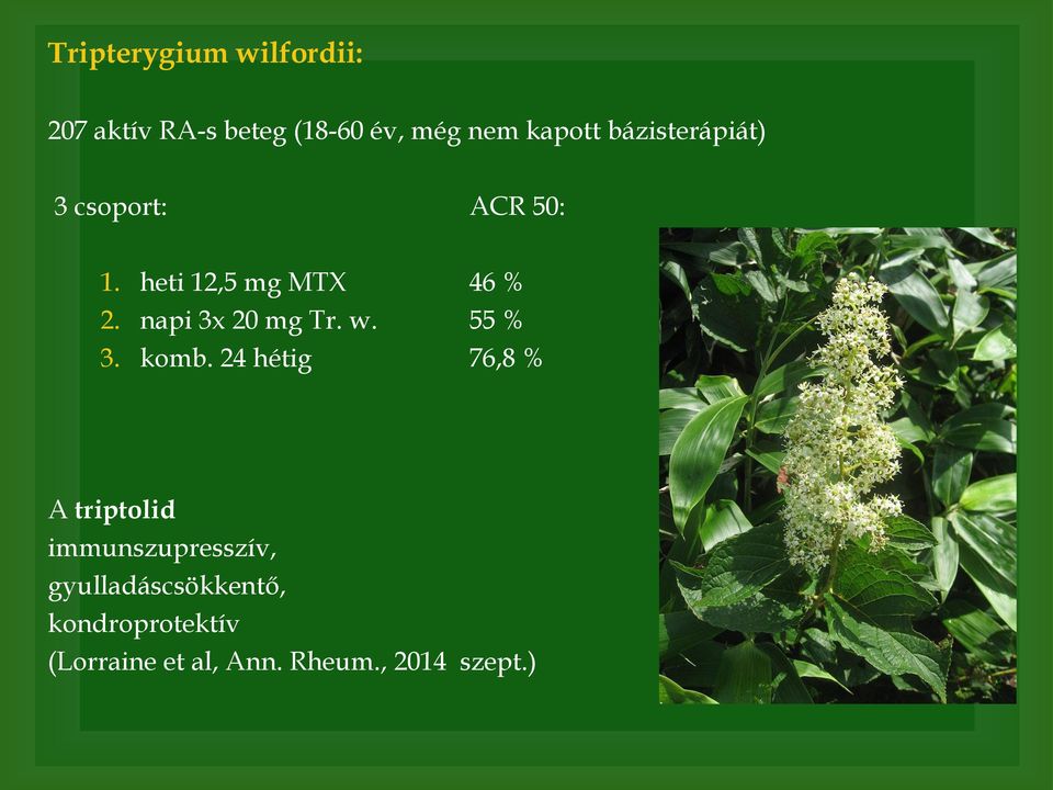 napi 3x 20 mg Tr. w. 55 % 3. komb.