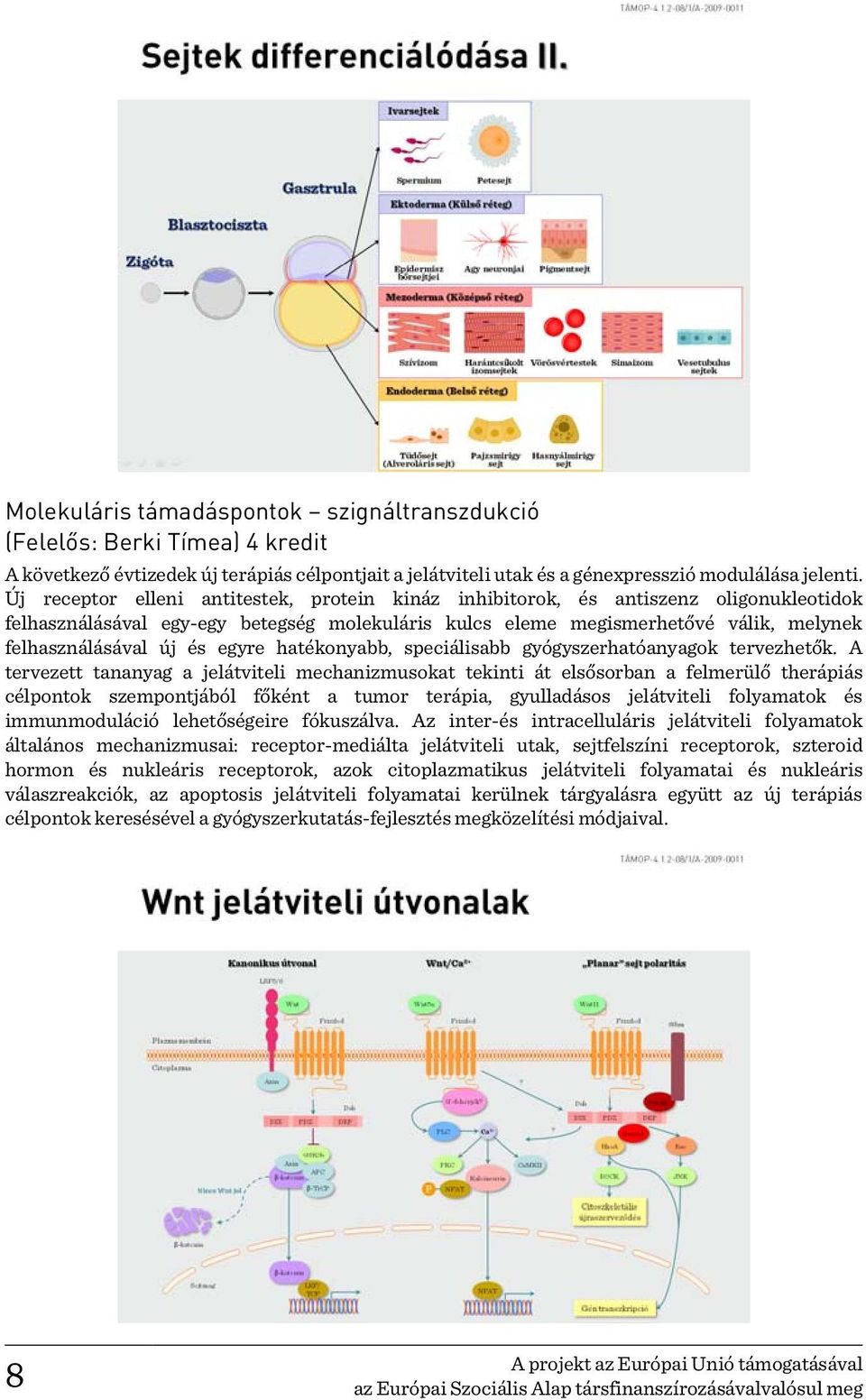 egyre hatékonyabb, speciálisabb gyógyszerhatóanyagok tervezhetők.