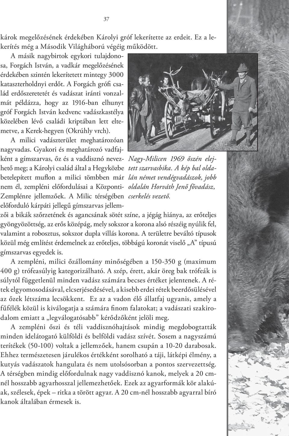 A Forgách grófi család erdőszeretetét és vadászat iránti vonzalmát példázza, hogy az 1916-ban elhunyt gróf Forgách István kedvenc vadászkastélya közelében lévő családi kriptában lett eltemetve, a