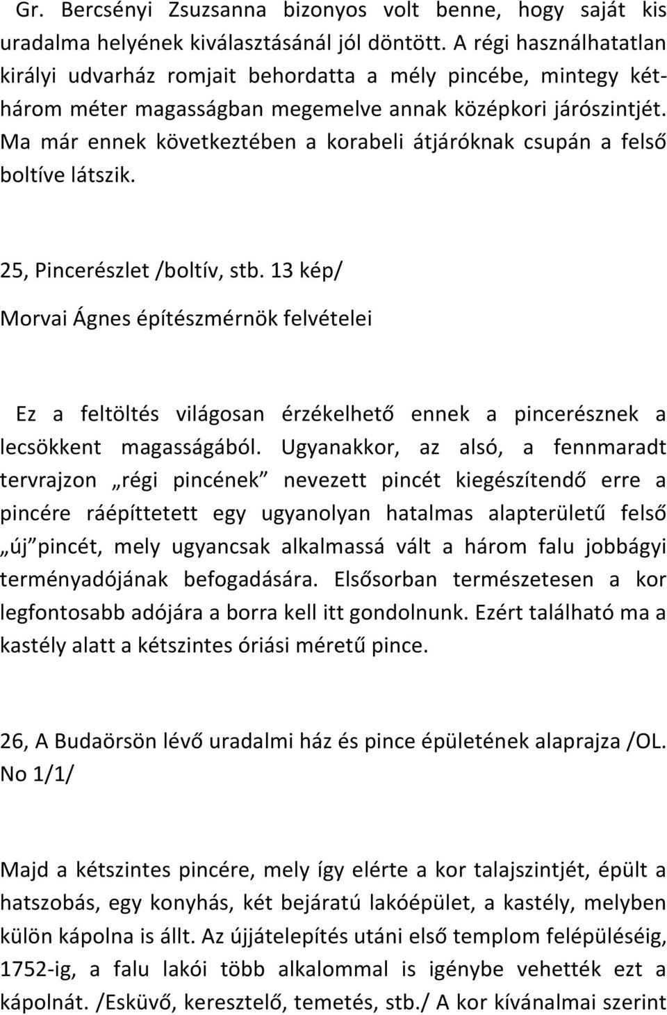 Ma már ennek következtében a korabeli átjáróknak csupán a felső boltíve látszik. 25, Pincerészlet /boltív, stb.