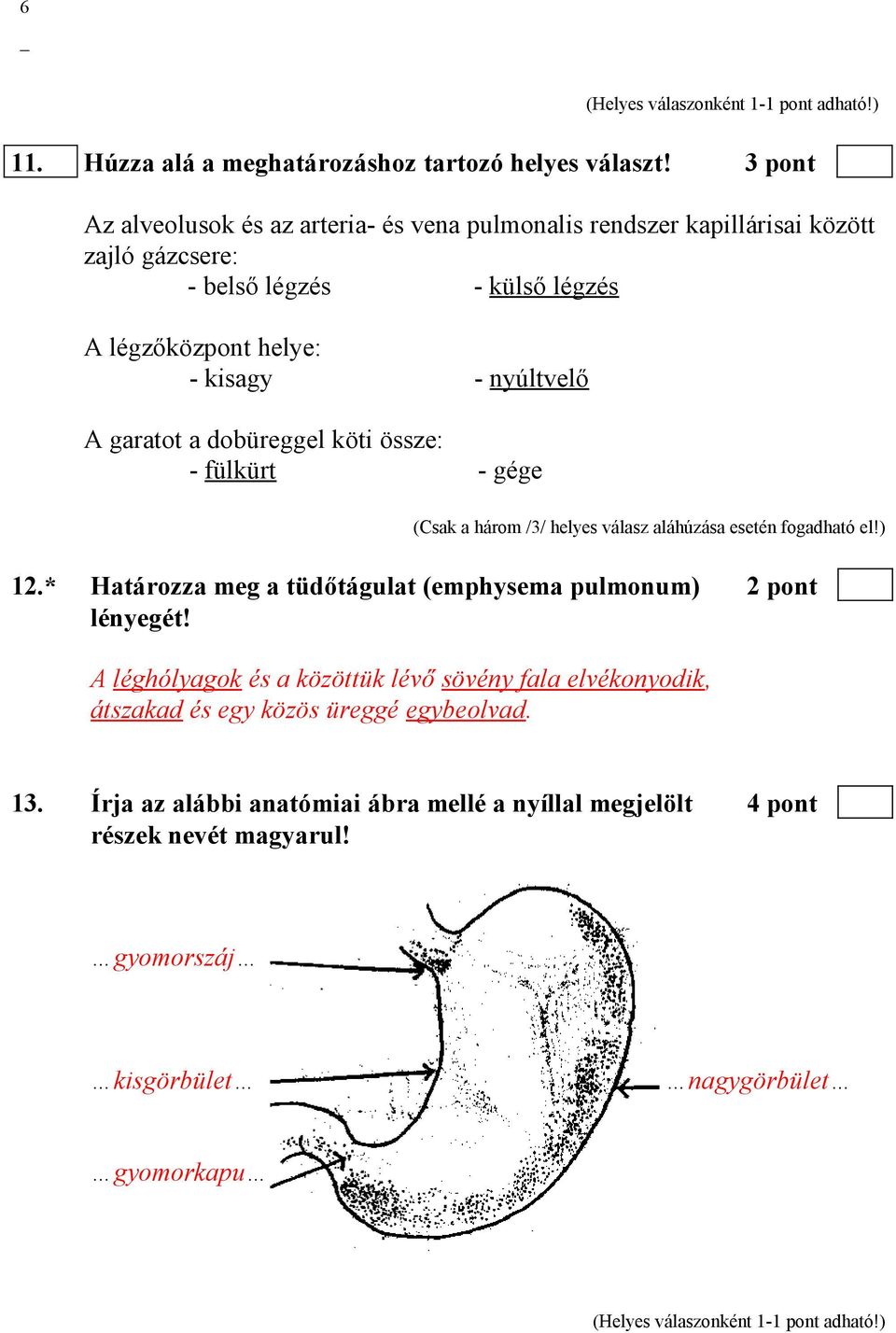 nyúltvelő A garatot a dobüreggel köti össze: - fülkürt - gége (Csak a három /3/ helyes válasz aláhúzása esetén fogadható el!) 12.