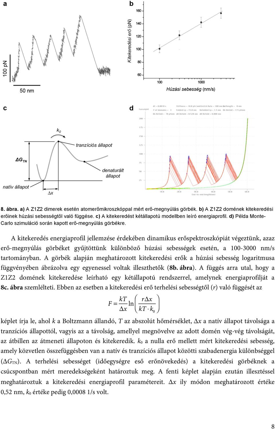 A kitekeredés energiaprofil jellemzése érdekében dinamikus erőspektroszkópiát végeztünk, azaz erő-megnyúlás görbéket gyűjtöttünk különböző húzási sebességek esetén, a 100-3000 nm/s tartományban.