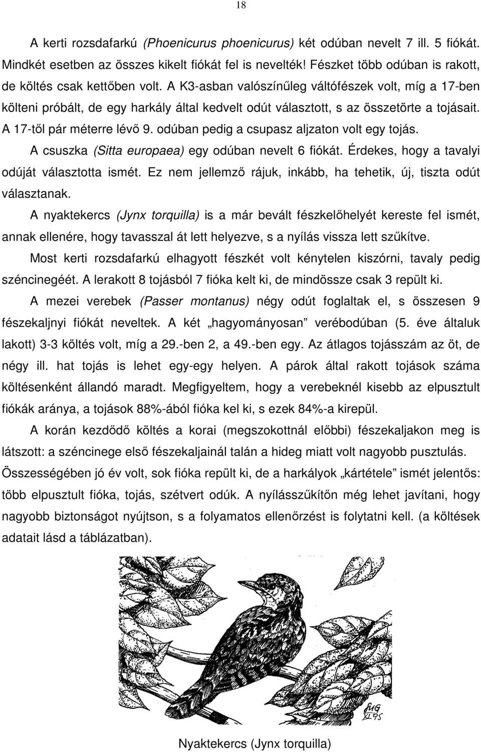 A K3-asban valószínűleg váltófészek volt, míg a 17-ben költeni próbált, de egy harkály által kedvelt odút választott, s az összetörte a tojásait. A 17-től pár méterre lévő 9.