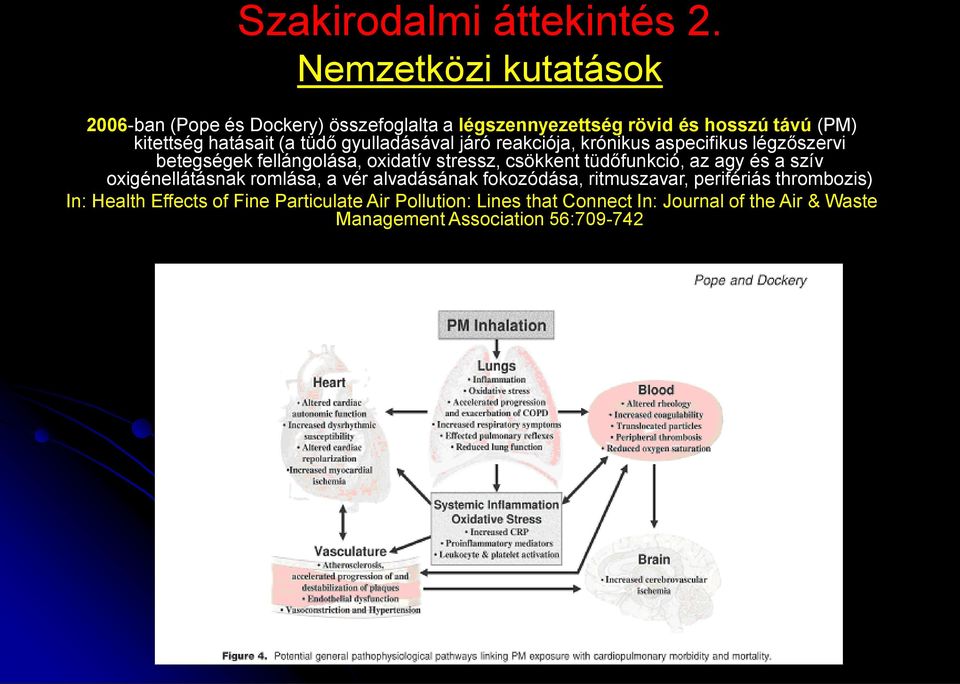 tüdő gyulladásával járó reakciója, krónikus aspecifikus légzőszervi betegségek fellángolása, oxidatív stressz, csökkent tüdőfunkció,