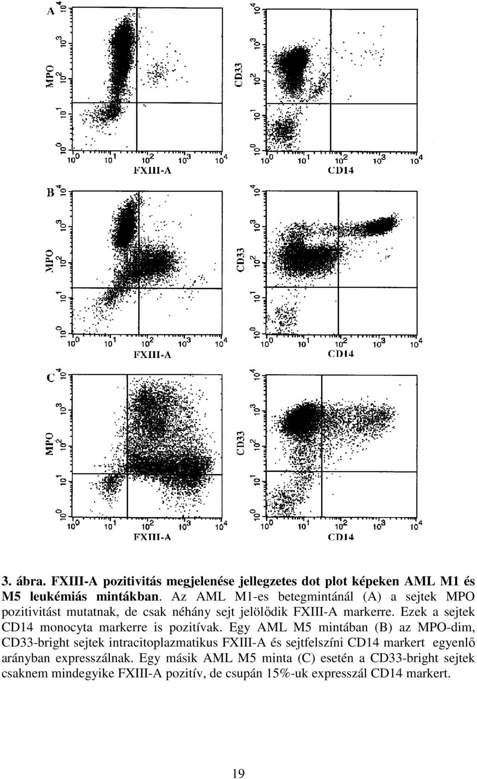Ezek a sejtek CD14 monocyta markerre is pozitívak.
