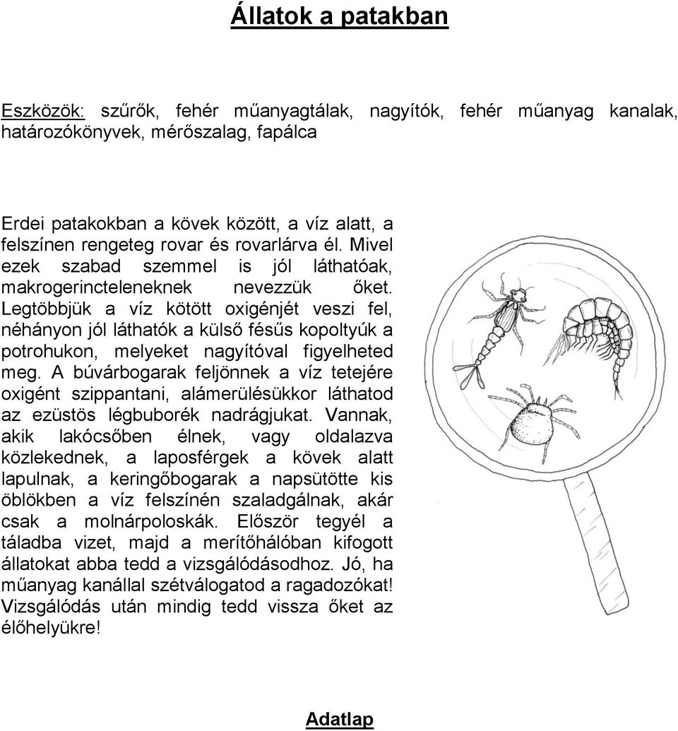 Legtöbbjük a víz kötött oxigénjét veszi fel, néhányon jól láthatók a külső fésűs kopoltyúk a potrohukon, melyeket nagyítóval figyelheted meg.