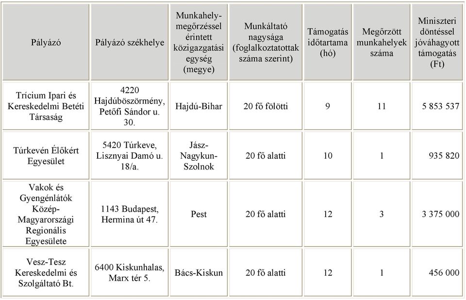 Jász- Nagykun- Szolnok 20 fő alatti 10 1 935 820 Vakok és Gyengénlátók Közép- Magyarországi Regionális Egyesülete