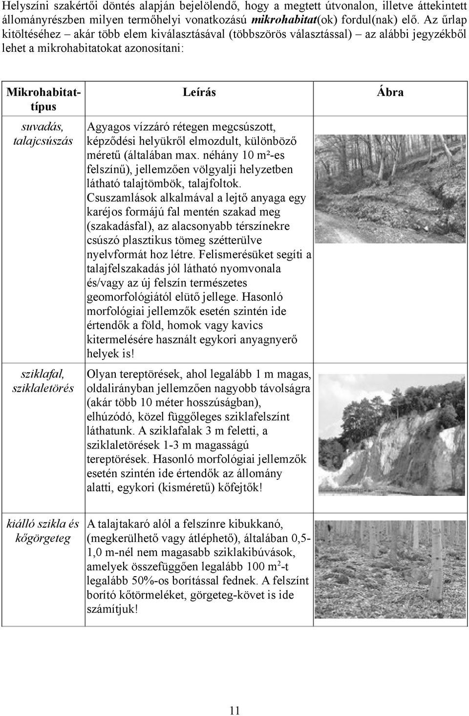 sziklaletörés Leírás Agyagos vízzáró rétegen megcsúszott, képződési helyükről elmozdult, különböző méretű (általában max.