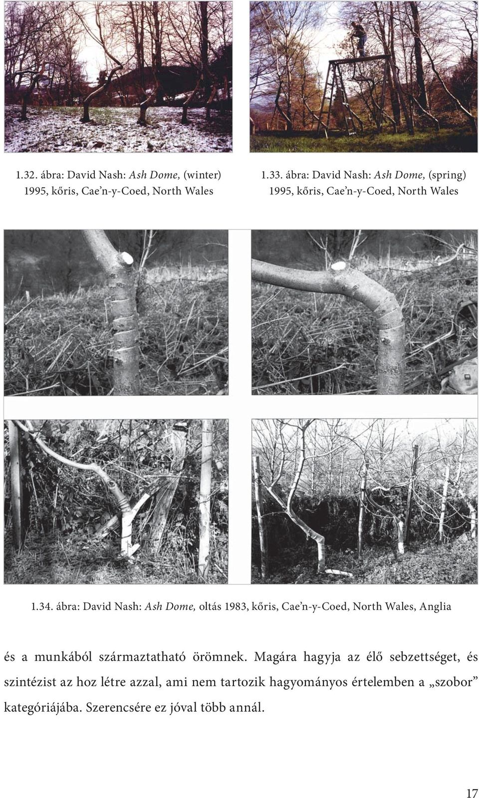 ábra: David Nash: Ash Dome, oltás 1983, kőris, Cae n-y-coed, North Wales, Anglia és a munkából származtatható