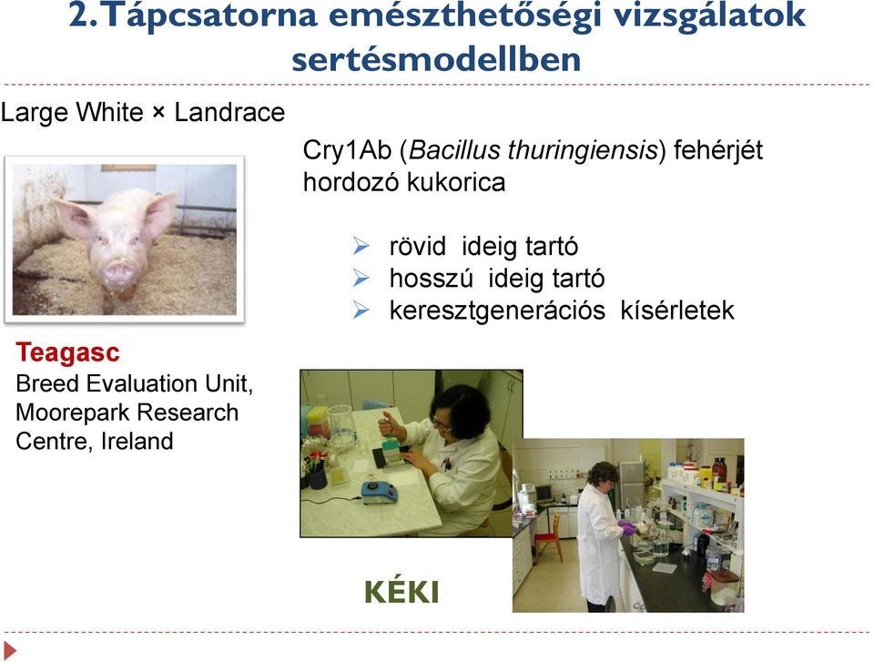 kukorica Teagasc Breed Evaluation Unit, Moorepark Research Centre,