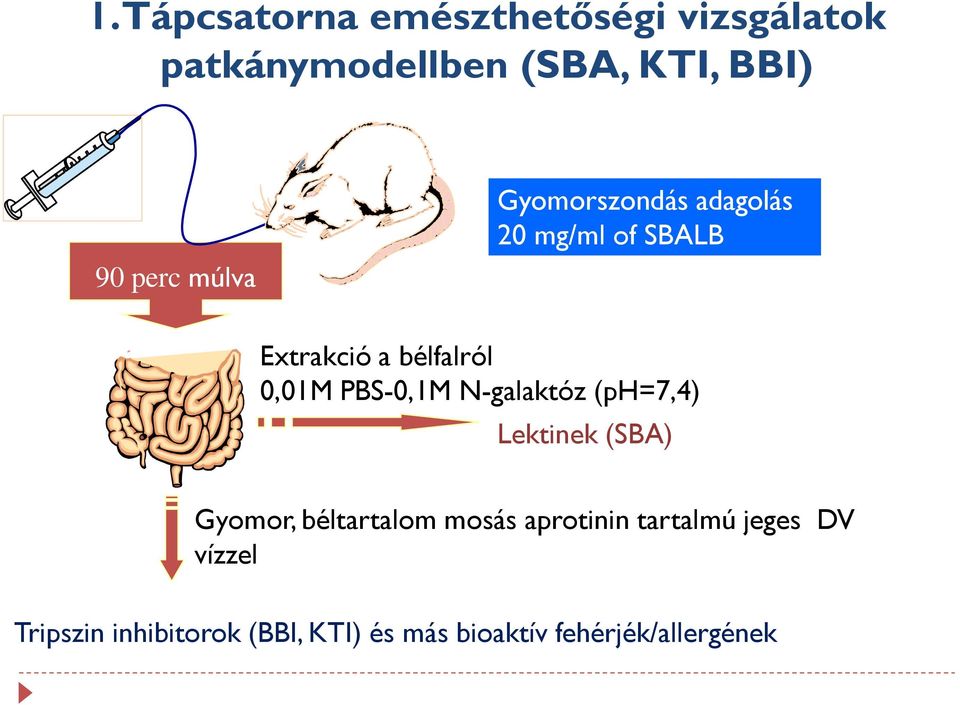 PBS-0,1M N-galaktóz (ph=7,4) Lektinek (SBA) Gyomor, béltartalom mosás aprotinin