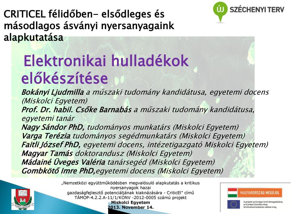 Csőke Barnabás a műszaki tudomány kandidátusa, egyetemi tanár Nagy Sándor PhD, tudományos munkatárs () Varga Terézia tudományos