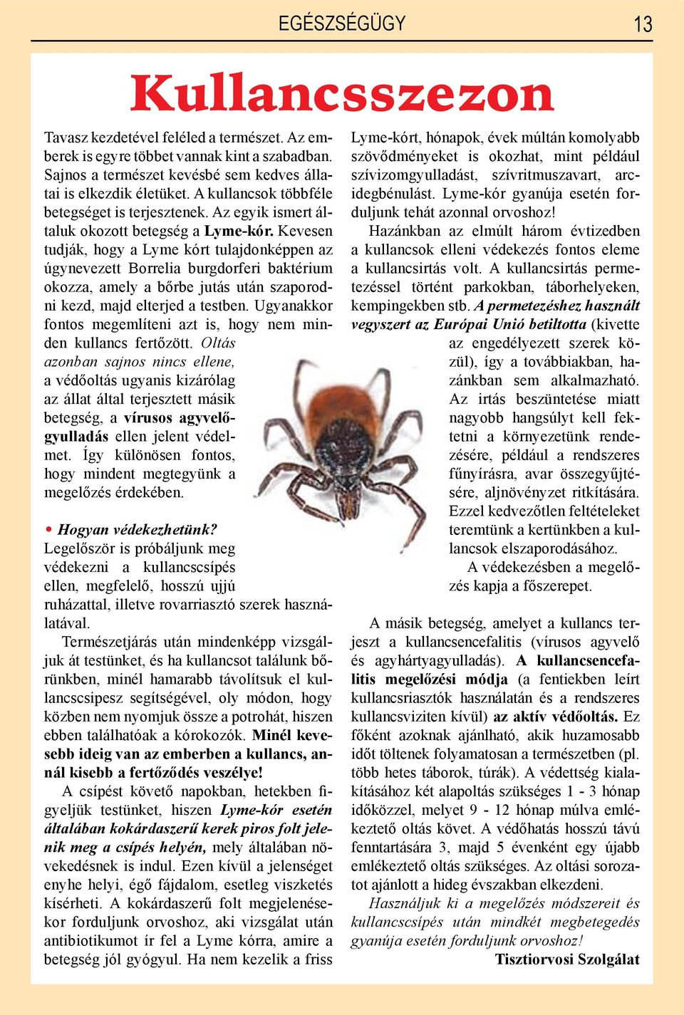 Kevesen tudják, hogy a Lyme kórt tulajdonképpen az úgynevezett Borrelia burgdorferi baktérium okozza, amely a bőrbe jutás után szaporodni kezd, majd elterjed a testben.